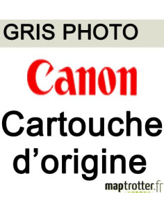 Canon - PFI-701 PGY - Cartouche d'encre gris photo - produit d'origine - 700ml - 0910B001
