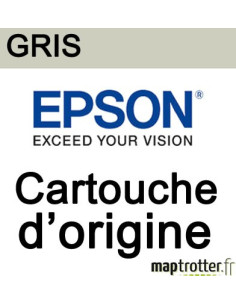  Epson - T0597 - Cartouche d'encre gris - série Lys - C13T05974010 