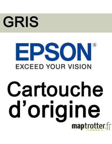  Epson - T0597 - Cartouche d'encre gris - série Lys - C13T05974010 
