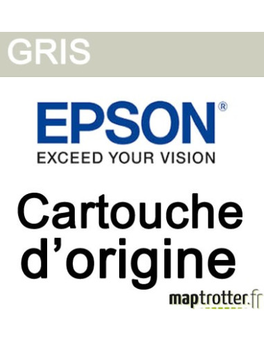  Epson - T6027 - Cartouche d'encre gris  - 110ml - C13T602700 