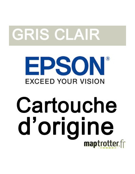  Epson - T5969 - Cartouche d'encre gris clair - 350ml - C13T596900 