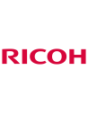 Ricoh - D1979640 - Développeur - noir - 160 000 pages