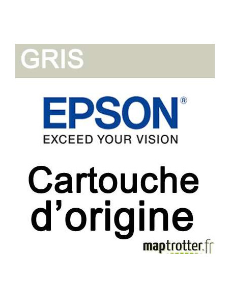 Epson - T6367 - Cartouche d'encre grise - produit d'origine - 700ml - C13T636700