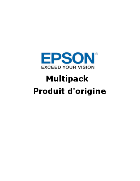 Epson - T1006 - Pack de 3 cartouches d'encre couleur C, M, J - produit d'origine - série Rhinocéros - C13T10064010