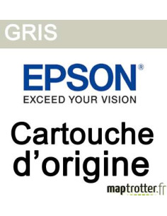 Epson - C13T850700 - T8507 - originale - Cartouche d'encre gris, 80 ml