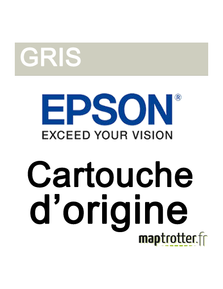Epson - C13T824700 - T824700 Cartouche d'encre gris, 350 ml