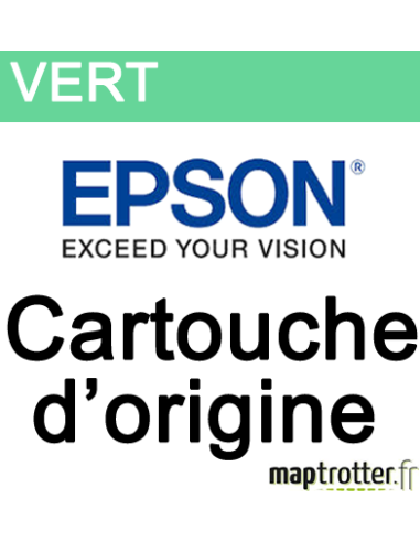 Epson - T804B00 - Cartouche d'encre - vert - 700 ml - produit d'origine - C13T804B00 