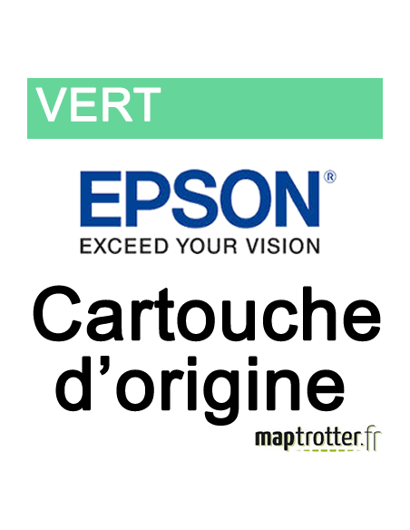 Epson - T804B00 - Cartouche d'encre - vert - 700 ml - produit d'origine - C13T804B00 
