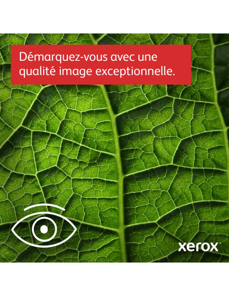 Xerox - C315V_DNI - Multifonction, impression, copie, scan, fax, laser, couleur, A4, Recto verso en impression, copie, scan (un 