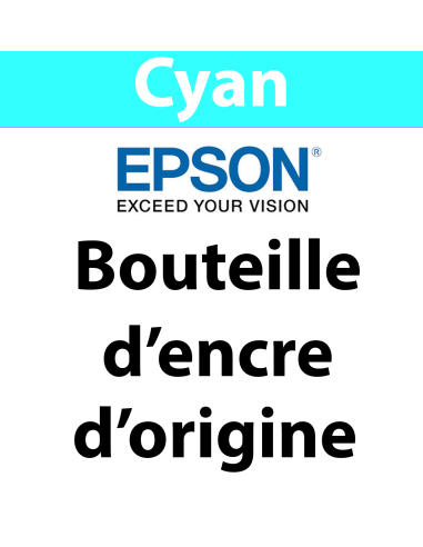 Epson - 113 - C13T06B240 - bouteille d'encre Cyan, 70 ml, produit d'origine, 6 000 pages 